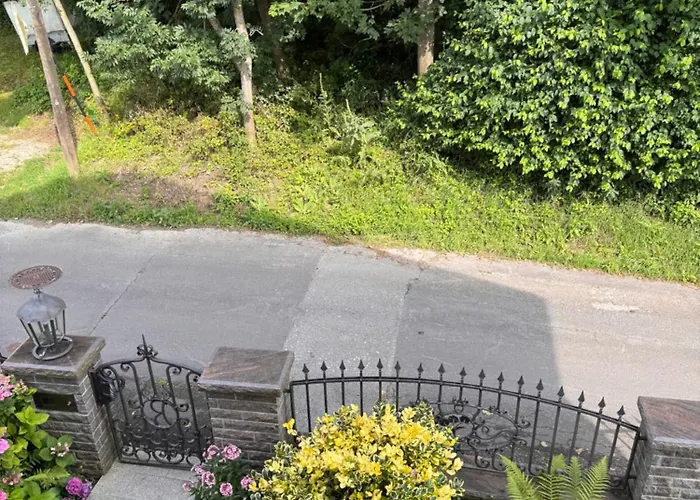 Helle In Grüner Lage - Nähe Zentrum